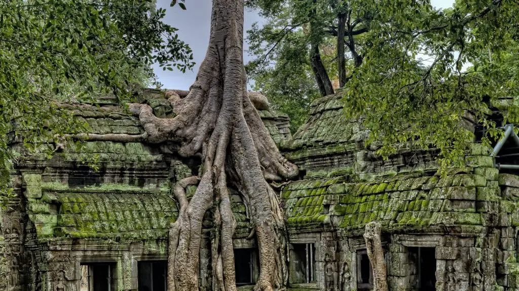 Mejores cosas que ver y hacer en Angkor Wat