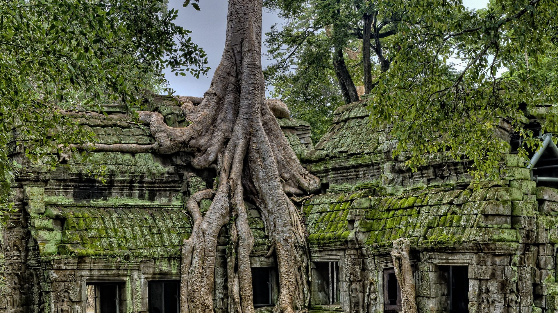 Que ver y hacer en Angkor Wat. Visitar los templos