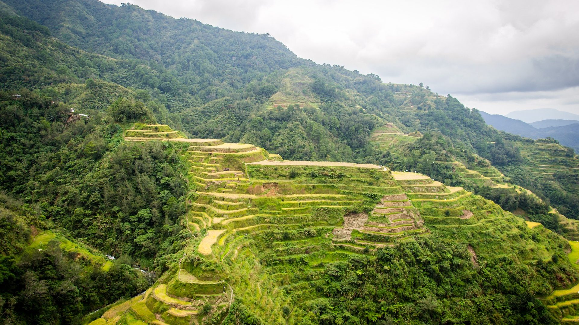 Que ver y hacer en Banaue. Terrazas de arroz en el norte de Luzón, Filipinas