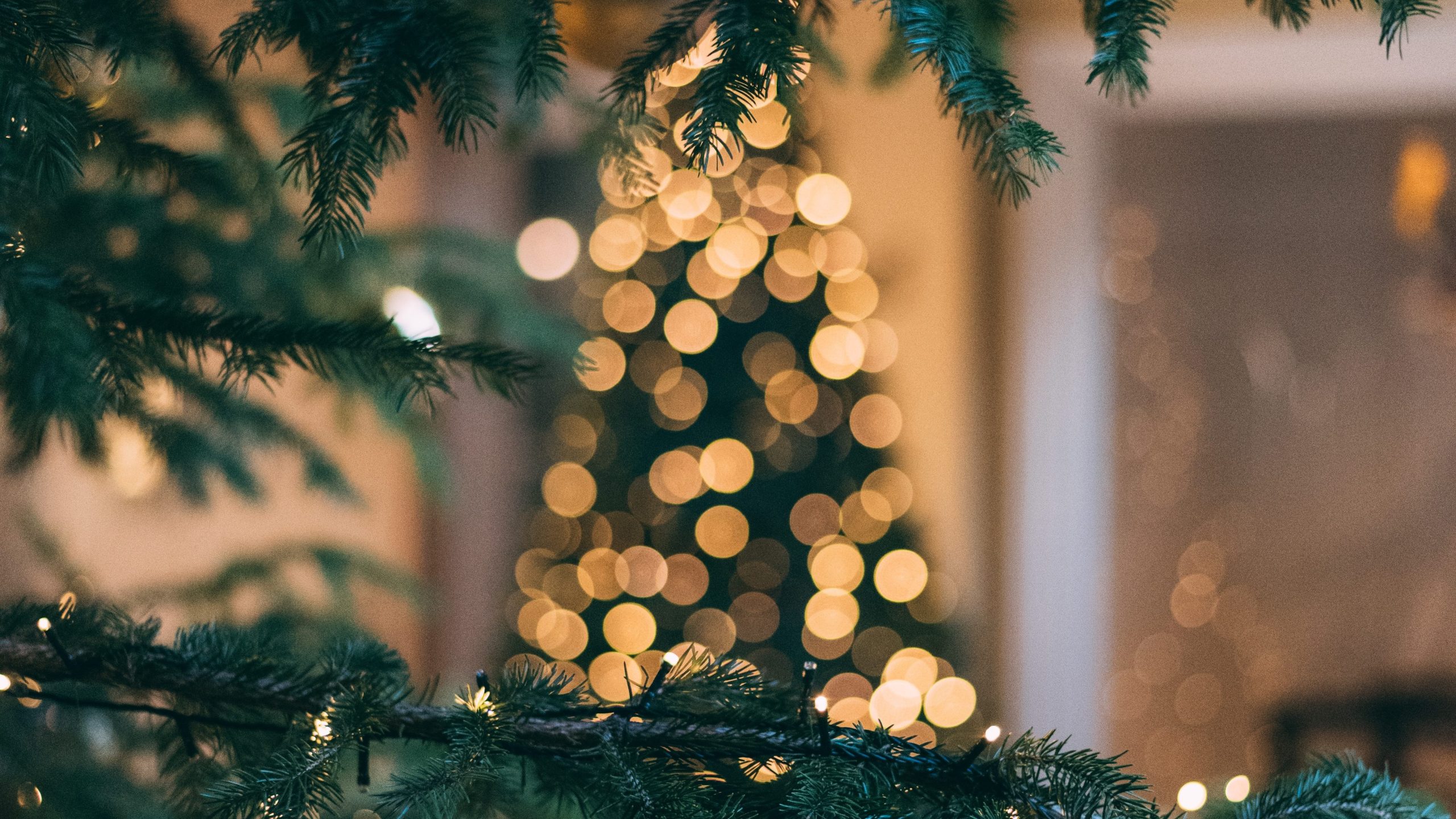 Que Ver y Hacer en Barakaldo en Navidad 2024-2025. Guía de Eventos en Barakaldo para este Diciembre en Navidad. Mejores cosas Que ver y hacer en Barakaldo con Niños en Navidad