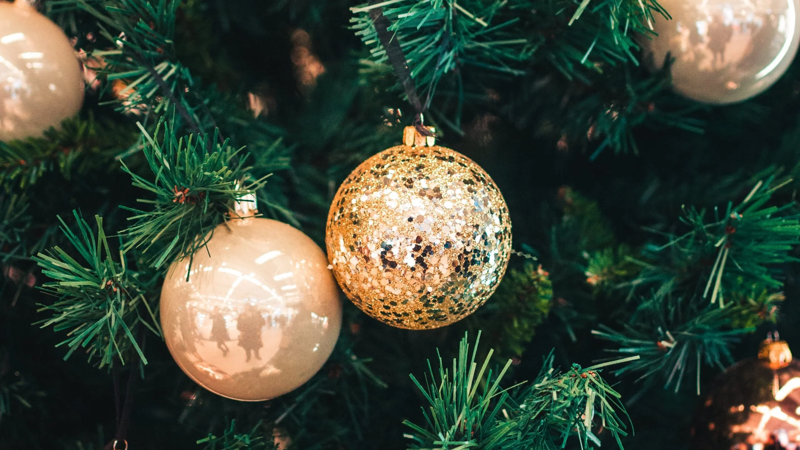 Programa Navidad en Ponferrada 2024-2025