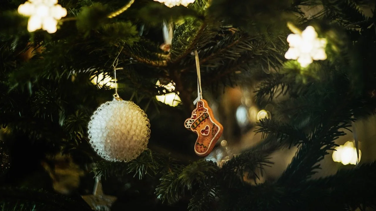 Programa Navidad en Boadilla del Monte 2024-2025